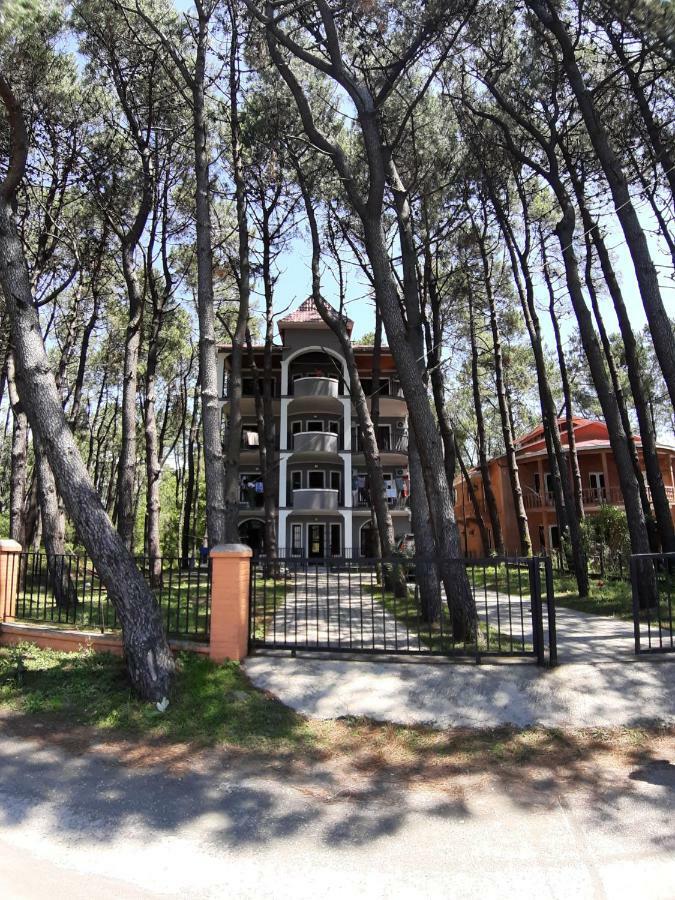 Hotel Niko Shekhvetili Zewnętrze zdjęcie